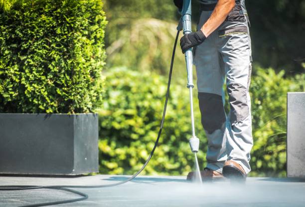 Best Boat and Dock Cleaning  in Bridgeport, MI