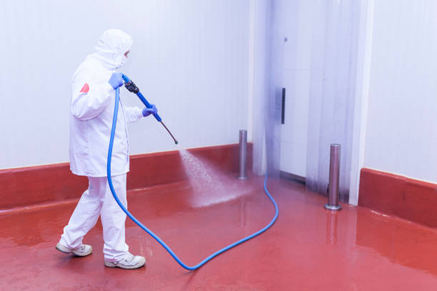 Best Dumpster Area Cleaning  in Bridgeport, MI